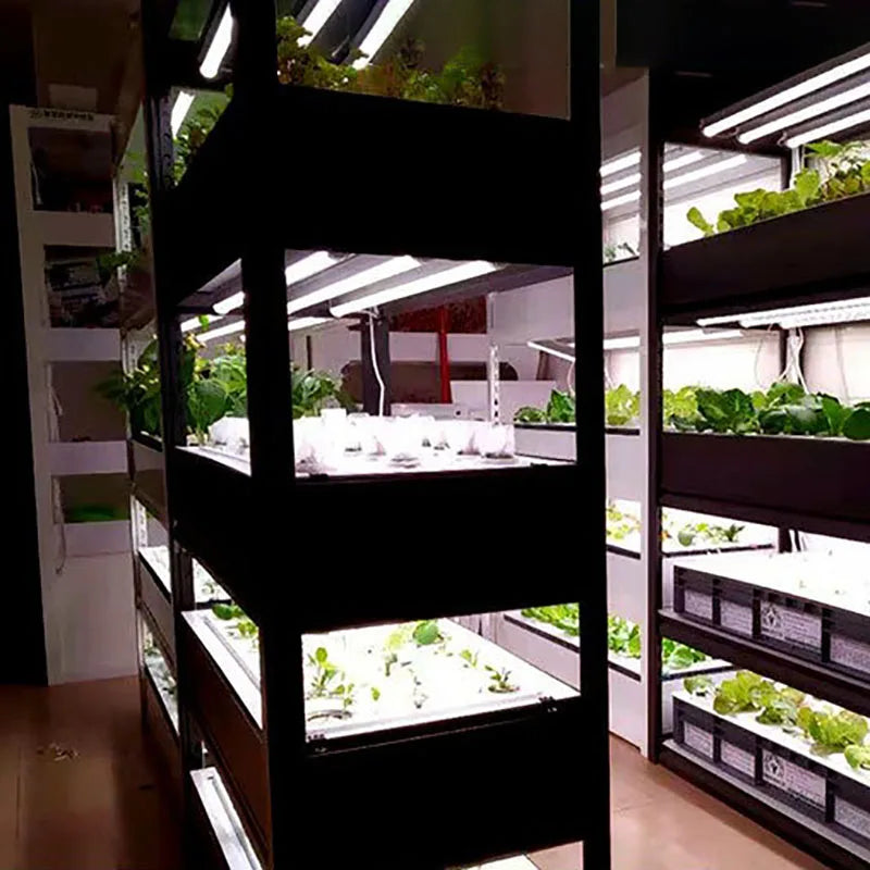 Système de Culture Hydroponique Intérieur : Serre Verticale, Potager Intelligent et Écologique