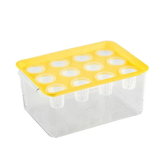 Jardinière Hydroponique Rectangulaire Transparente – 12 Trous avec Couvercle et Poignée, Facile à Nettoyer