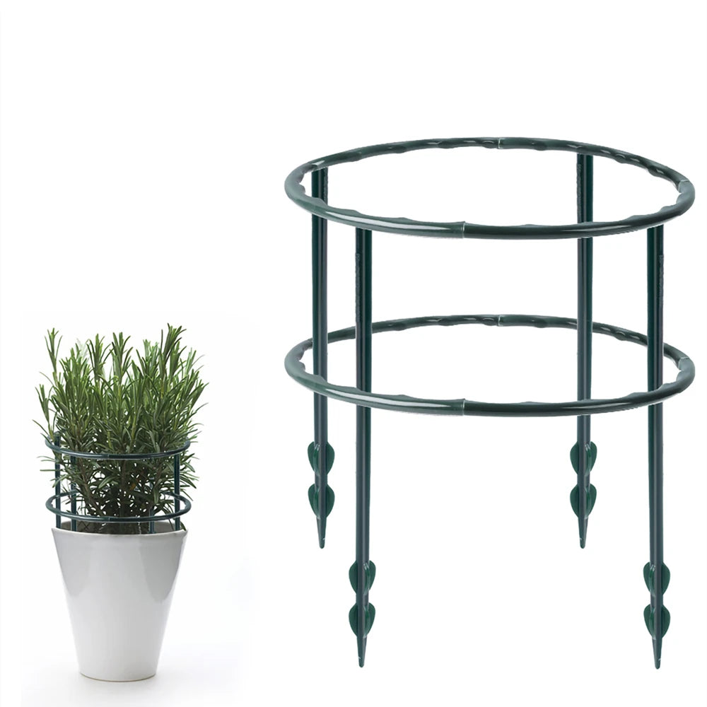 Structure de Soutien Ajustable pour Plantes Grimpantes