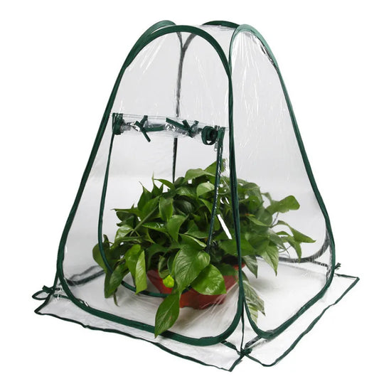 Serre de jardinage domestique, Mini solarium pliable,