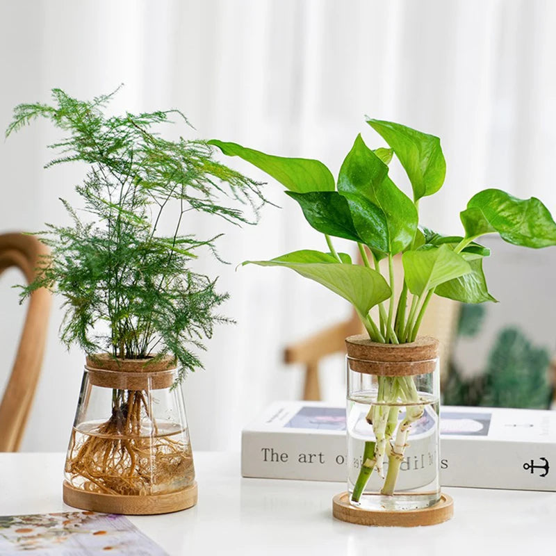 Bouteille en verre avec bouchon en bois, Vase à fleurs rond