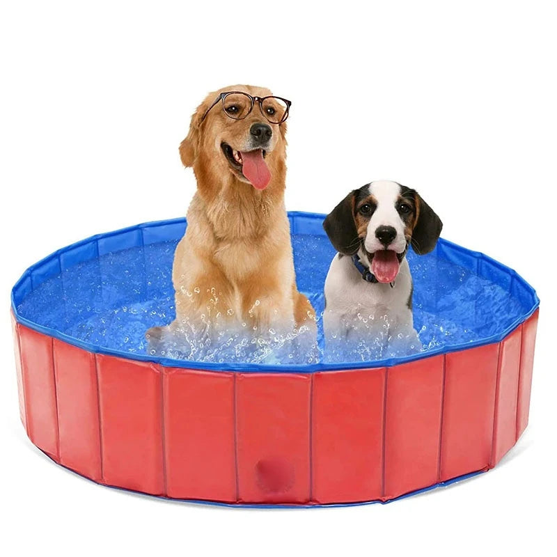 Piscine pliable pour Chiens