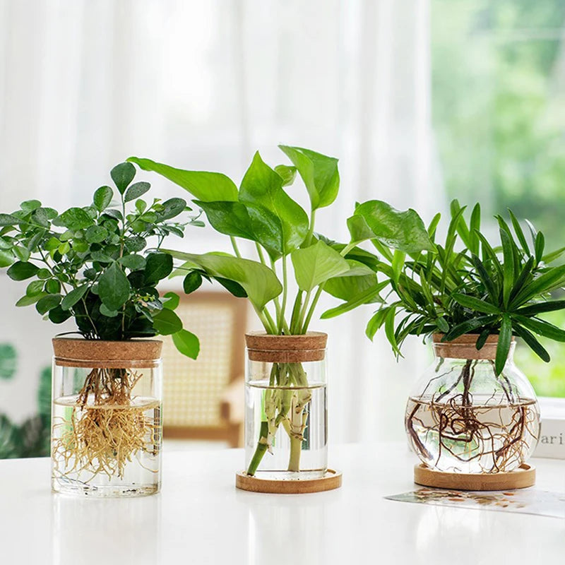 Bouteille en verre avec bouchon en bois, Vase à fleurs rond