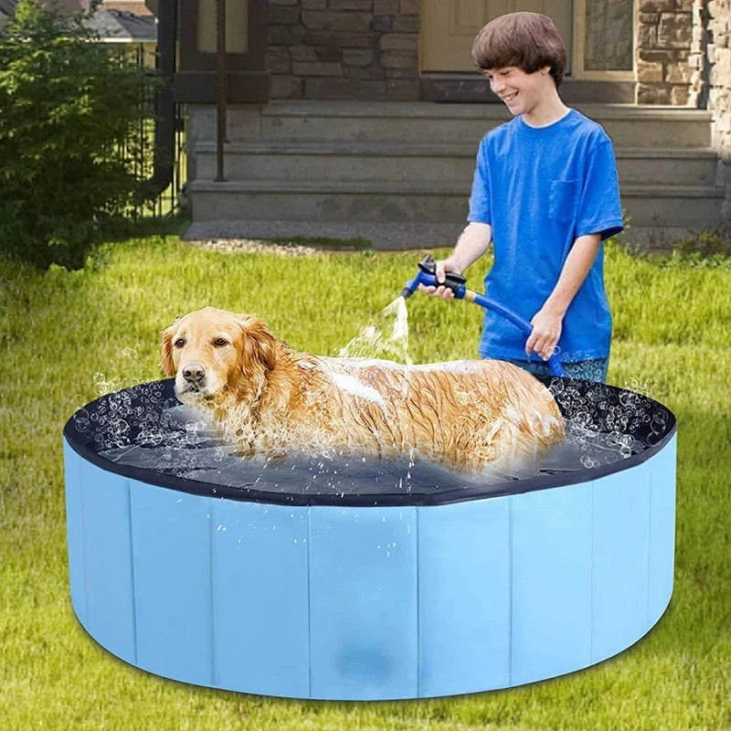 Piscine pliable pour Chiens