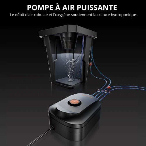 Système Hydroponique Spider Farmer DWC 7 Gallons avec 2 Seaux et Pompe à Air