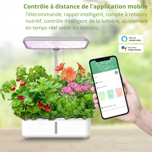 Système Hydroponique WiFi   pour la Culture de Plantes Jardinière Intelligente