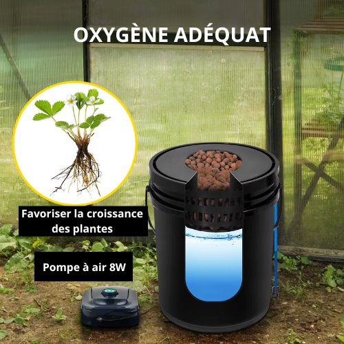 Système Hydroponique VEVOR DWC  5 Gallons avec 4 Seaux Multiples