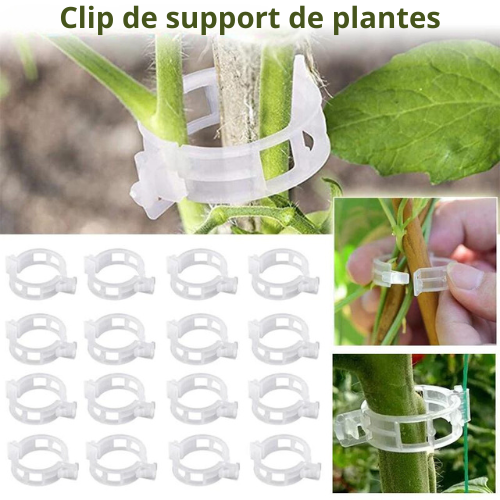 Supports de Clips pour plantes