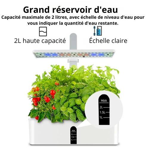 Potager d'intérieur hydroponique