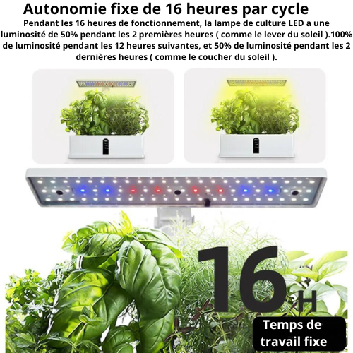 Potager d'intérieur hydroponique