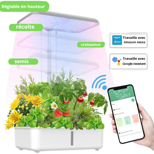 Système Hydroponique WiFi   pour la Culture de Plantes Jardinière Intelligente