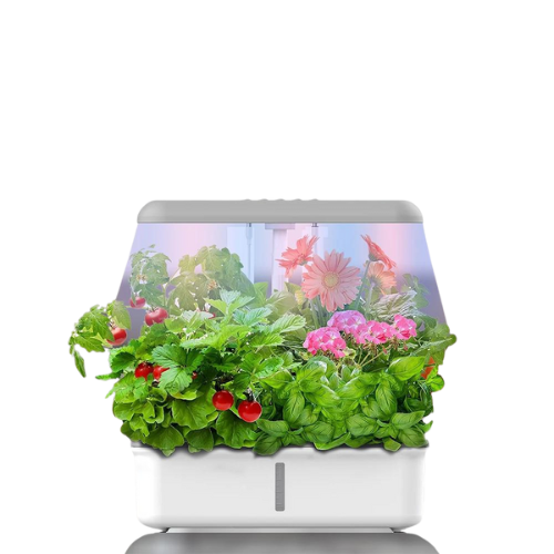 Système Hydroponique WiFi   pour la Culture de Plantes Jardinière Intelligente